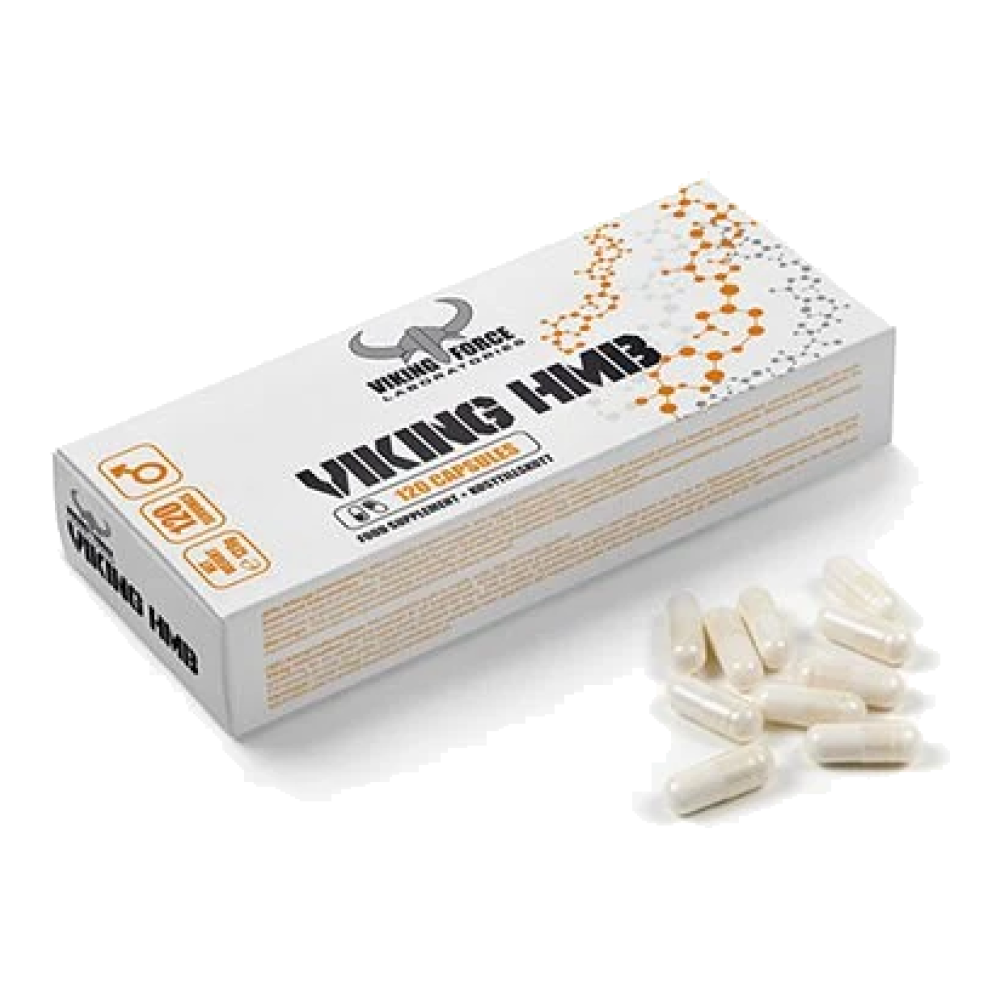 اچ ام بی وایکینگ فورس | Viking Force HMB